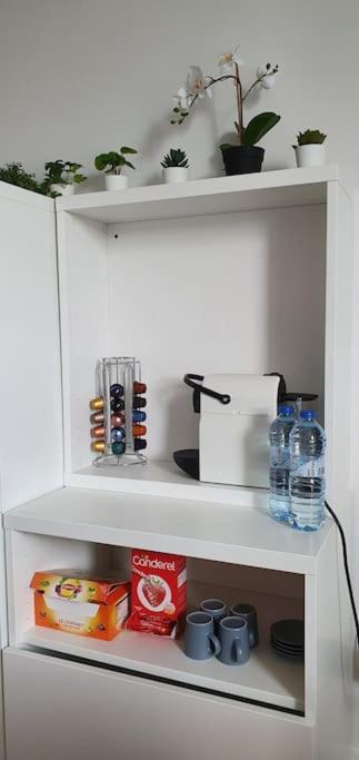 Apartment Little Explorer*studio*disneyland*valdeurope*paris *